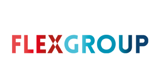 Logo Flexgroup